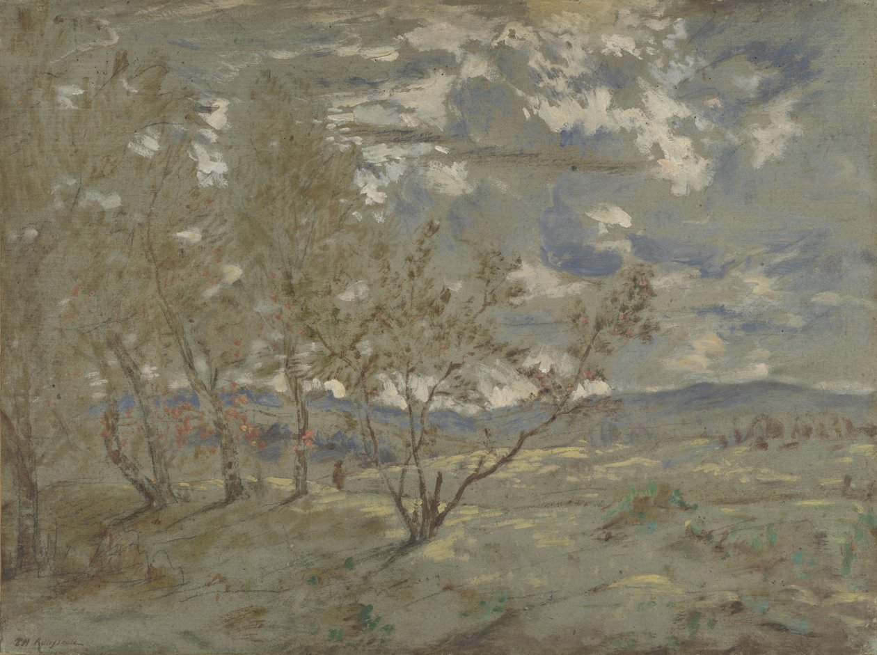 Paesaggio, ca 1865 da Pierre Etienne Theodore Rousseau