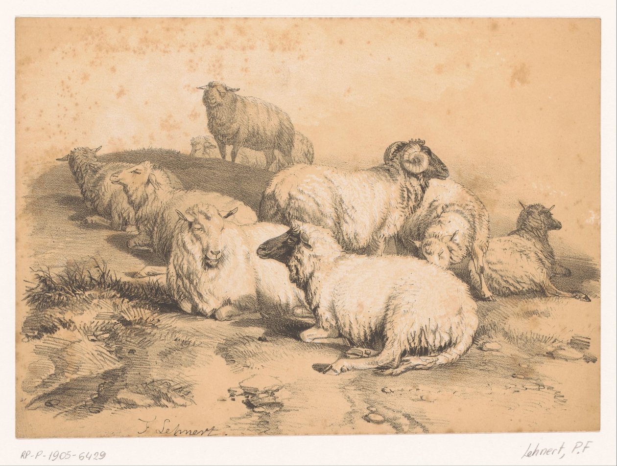 Gregge di pecore da Pierre Frédéric Lehnert