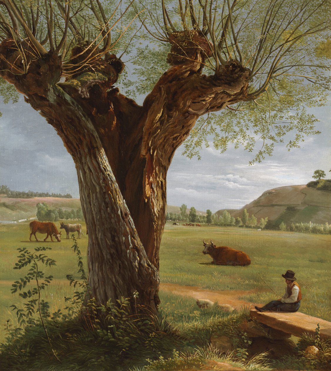 Salice capitozzato, dopo il 1804 da Pierre Jean Boquet
