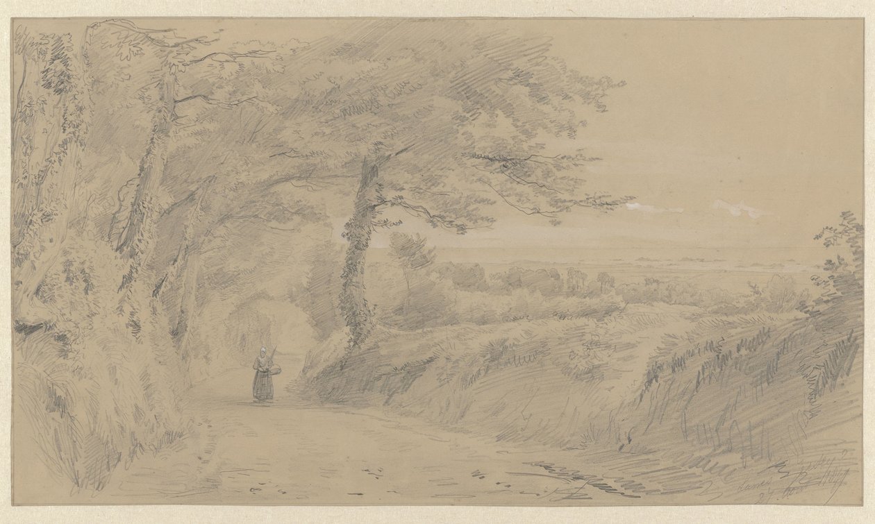 Paesaggio a Jersey da Pierre Louis Dubourcq