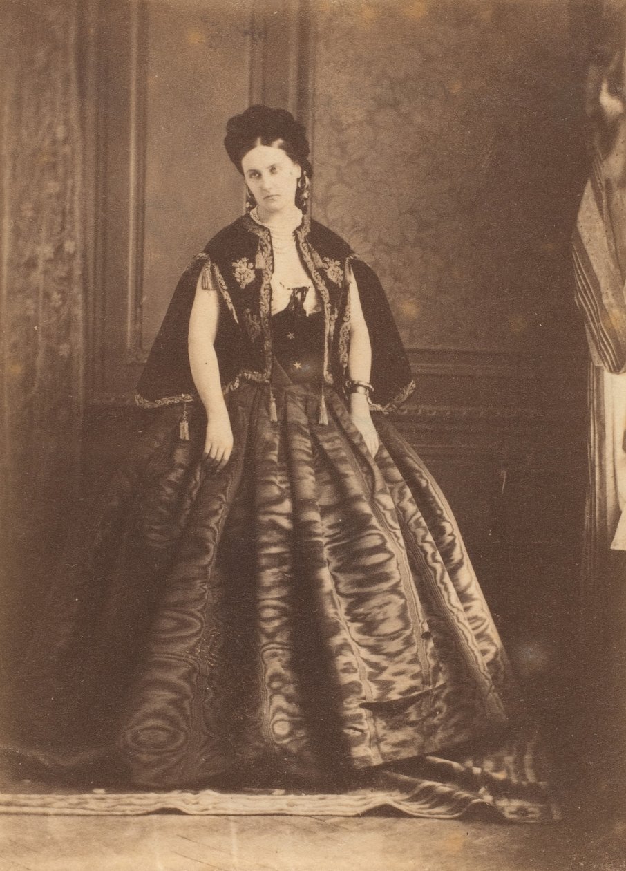 La robe de moiré, 1860s da Pierre Louis Pierson