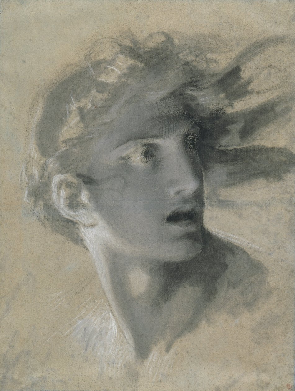 Testa della vendetta da Pierre Paul Prud