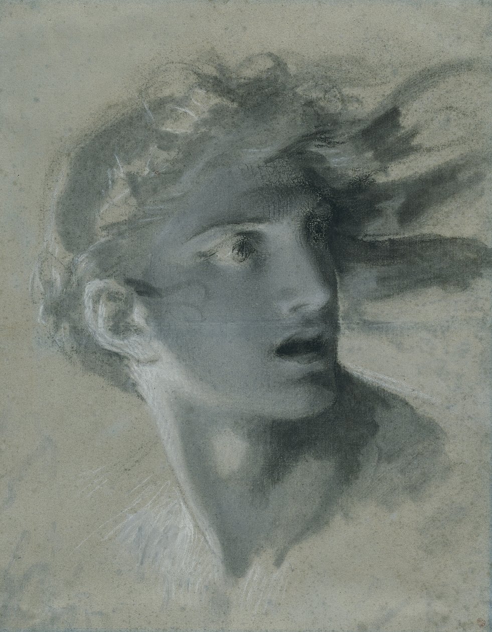 Testa della vendetta, c.1804 da Pierre Paul Prudhon