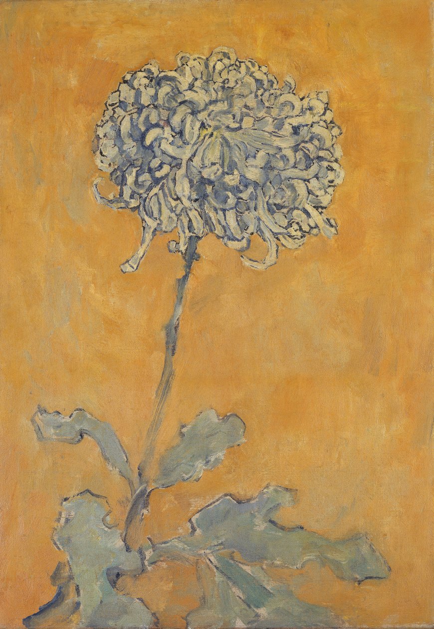 Crisantemo da Piet Mondrian