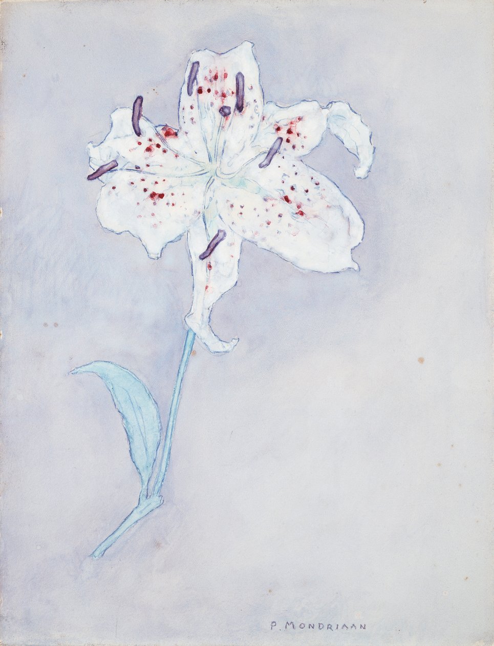 Giglio, c.1920-25 da Piet Mondrian