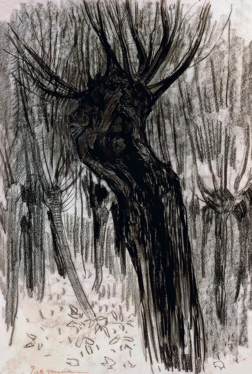 Salici, 1902-1904 da Piet Mondrian