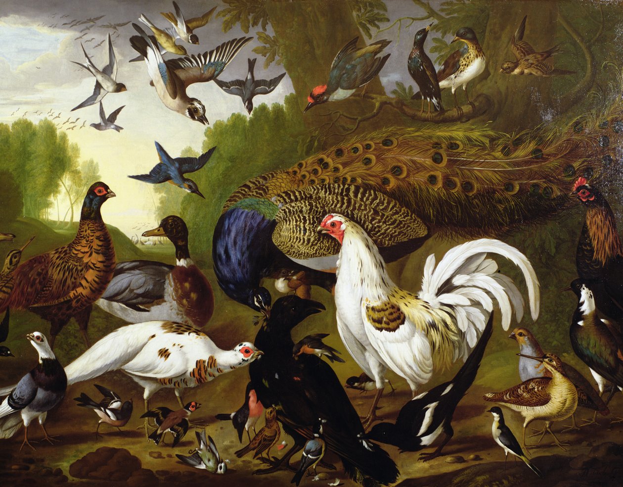 La favola del corvo con un pavone, gallo, picchio, ghiandaia, beccaccia e gazza da Pieter Casteels