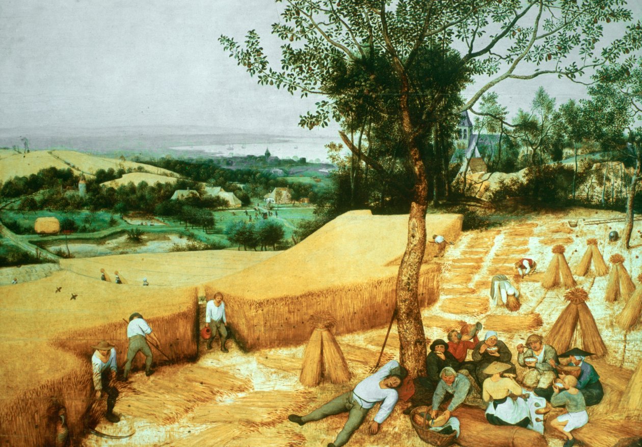 I mietitori, 1565 da Pieter Bruegel the Elder