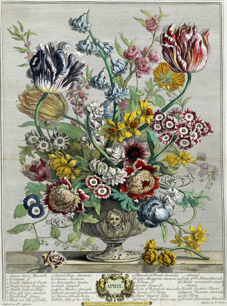 Aprile, da "Dodici mesi di fiori" da Pieter Casteels