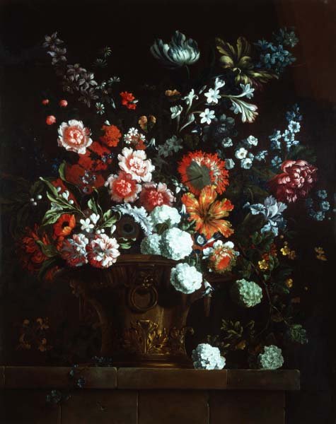 Fiori in un