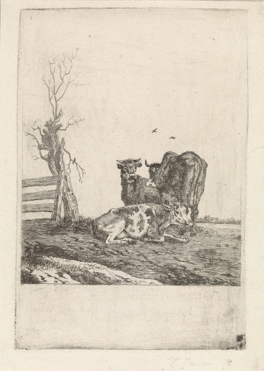 Paesaggio con tre mucche da Pieter Janson