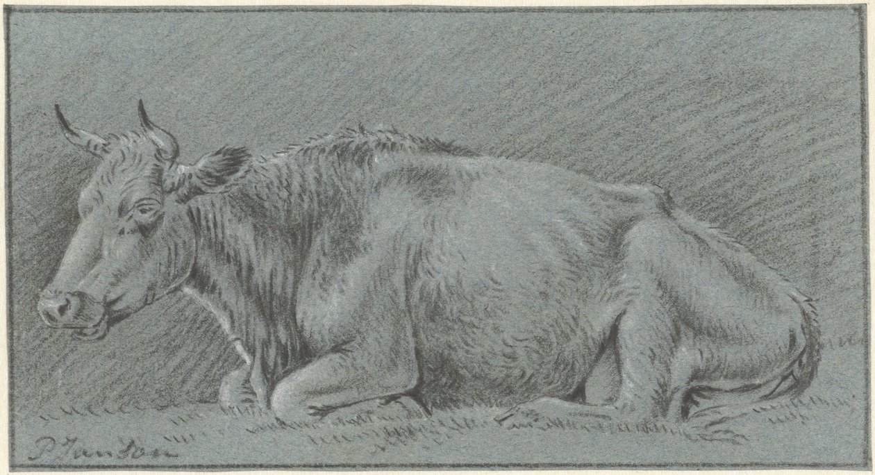 Mucca sdraiata da Pieter Janson