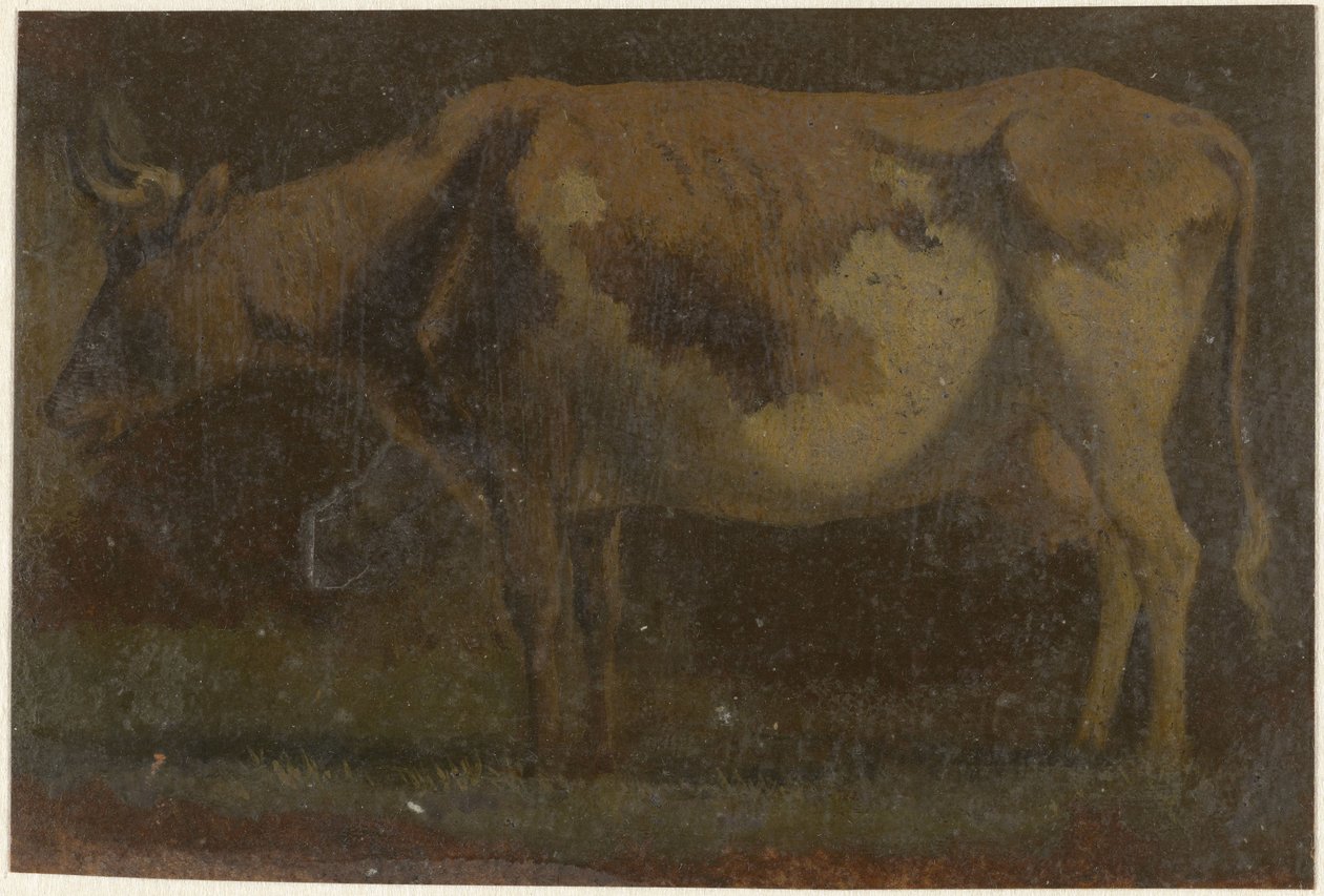 Mucca in piedi, verso sinistra da Pieter Janson