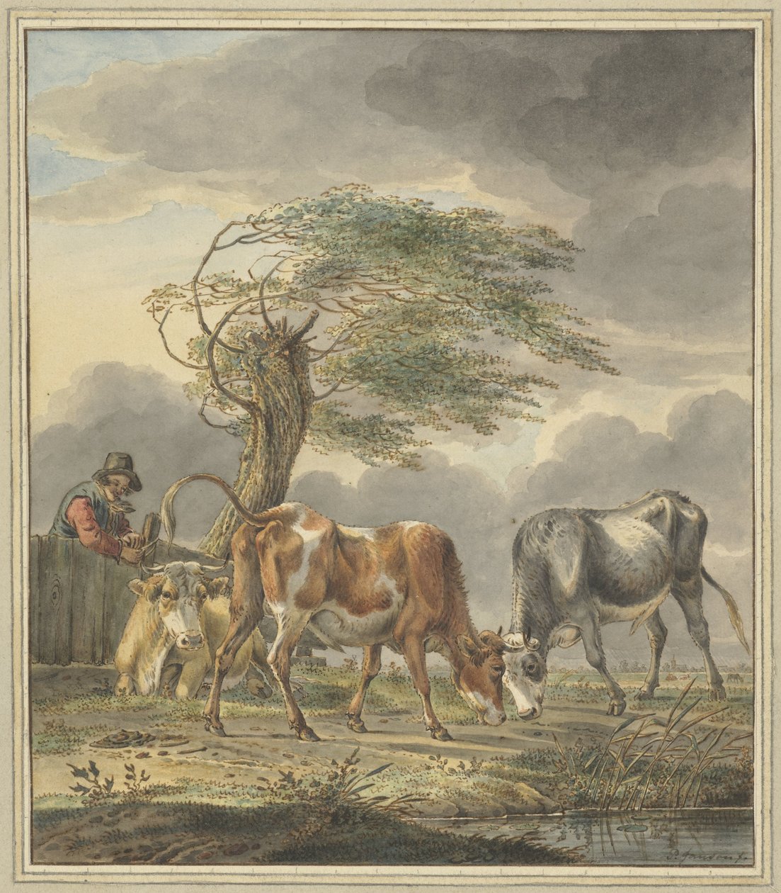 Due giovani tori e una mucca da Pieter Janson