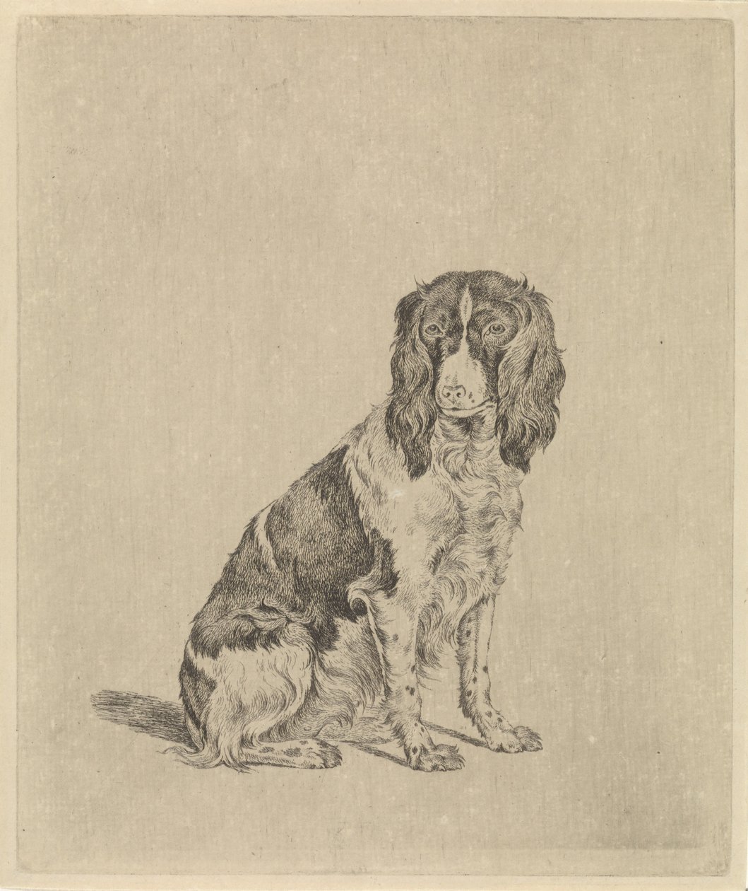 Cane da caccia seduto da Pieter Janson