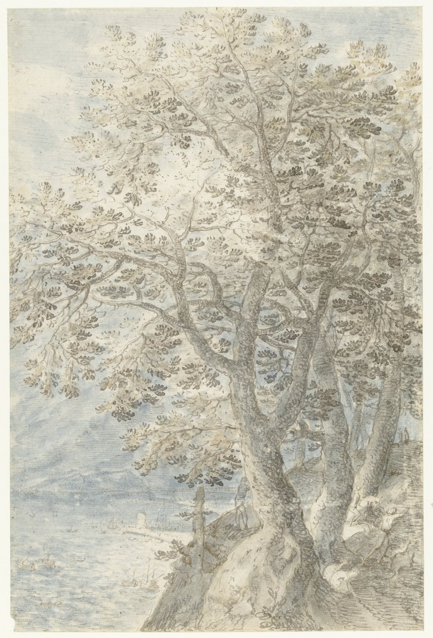 Alberi vicino a una parete rocciosa ripida da Pieter Stevens (I)