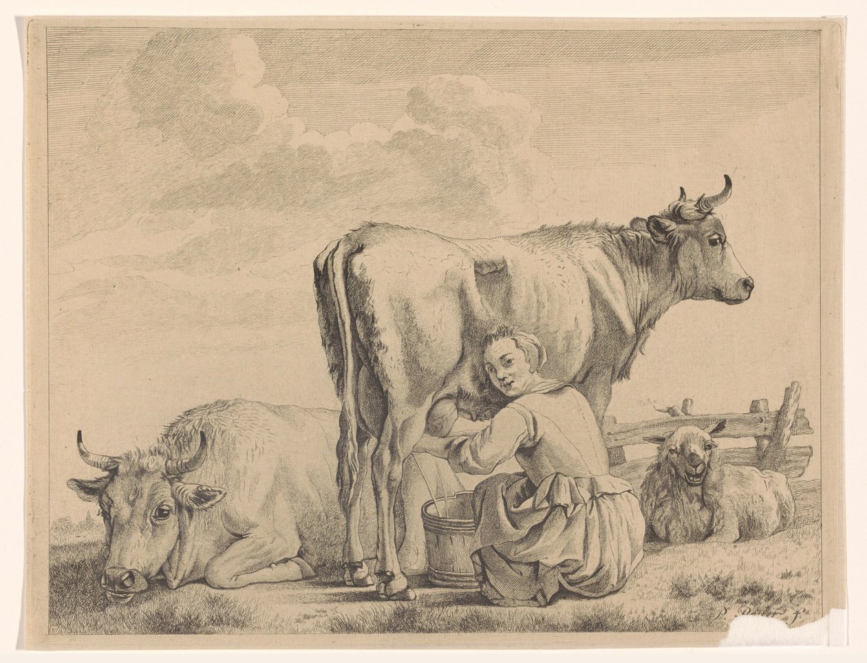 Lattaia da Pieter de Mare