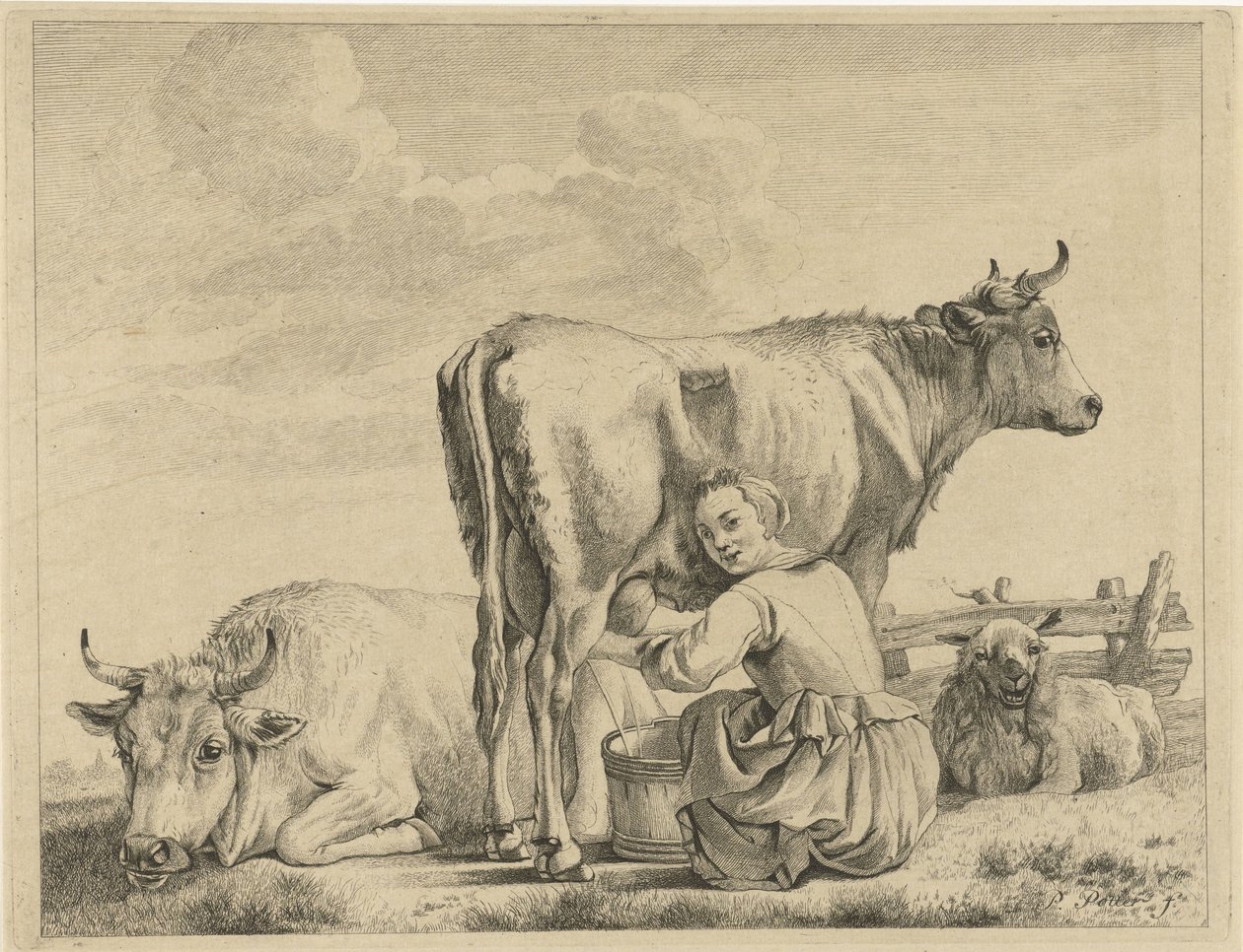 Lattaia da Pieter de Mare