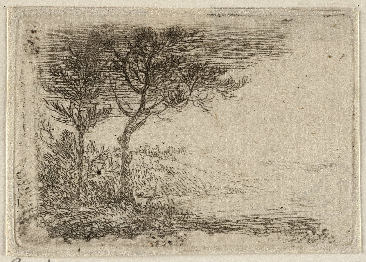 Tedesco: Paesaggio con due alberi da Pieter van Laer