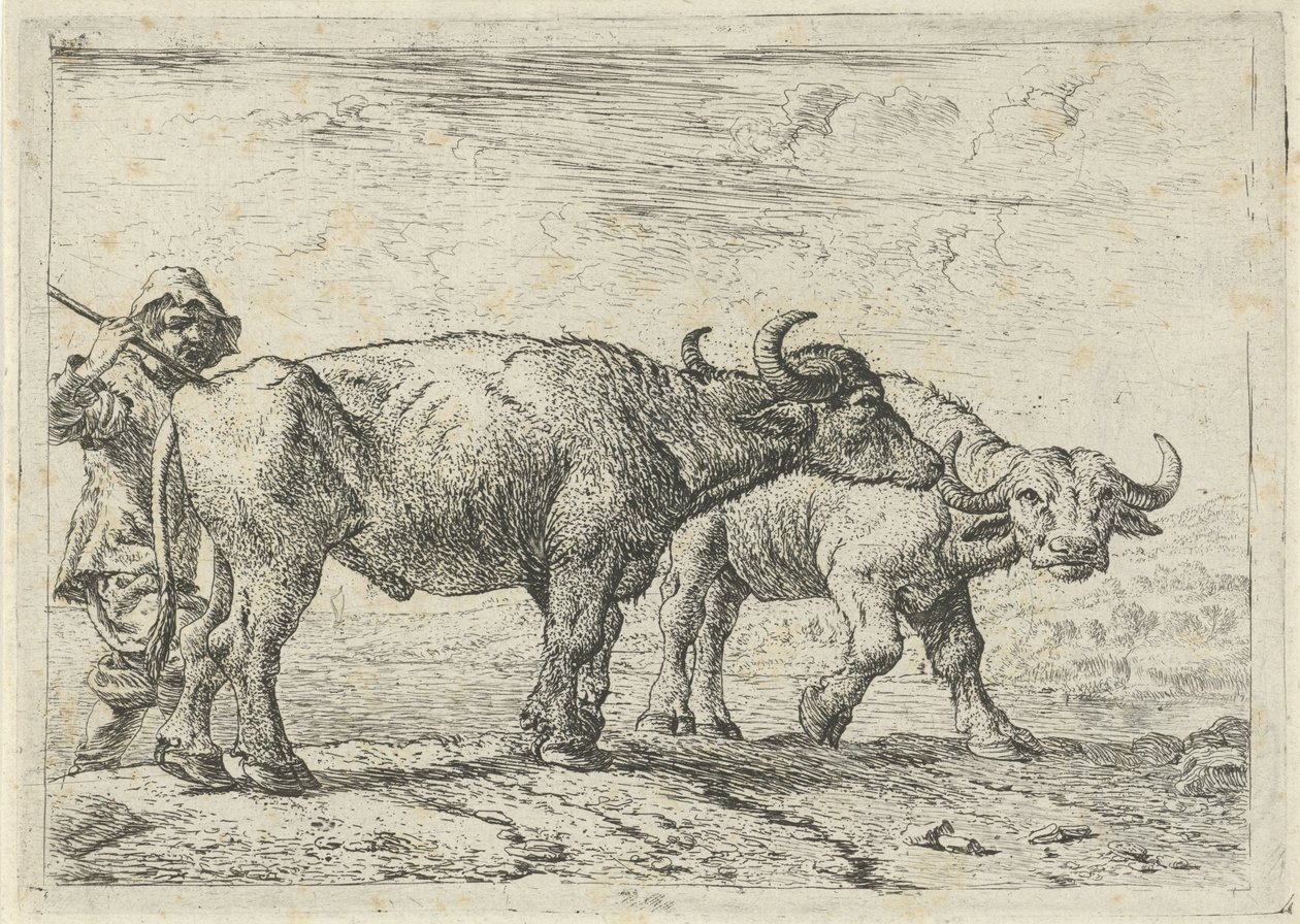 Due bufali e un mandriano da Pieter van Laer