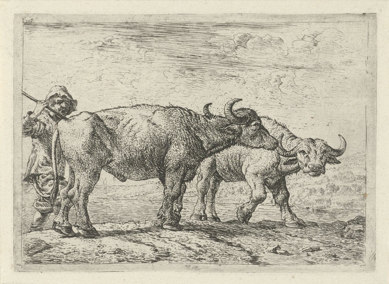 Due bufali e un mandriano da Pieter van Laer