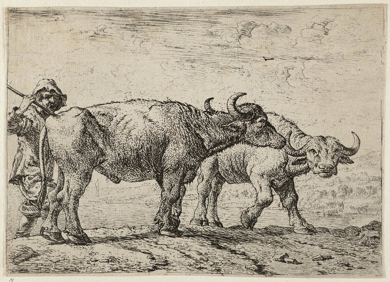 Due bufali e un mandriano da Pieter van Laer