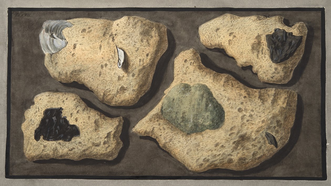 Specimens of Tufas from the quarrys near the Grotta of Pausilipo, Plate XXXXII, from 