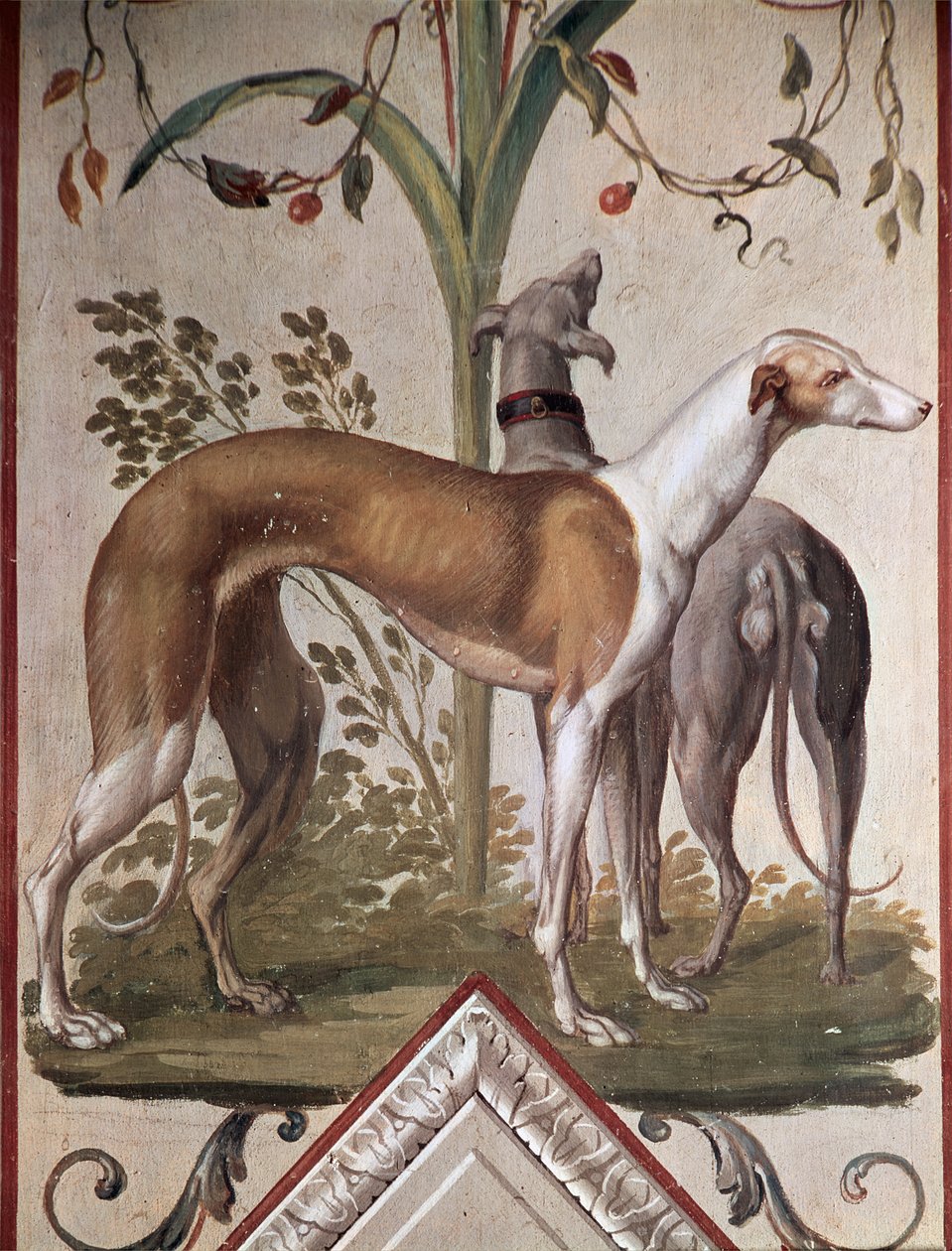 Due levrieri da Pietro Rotati