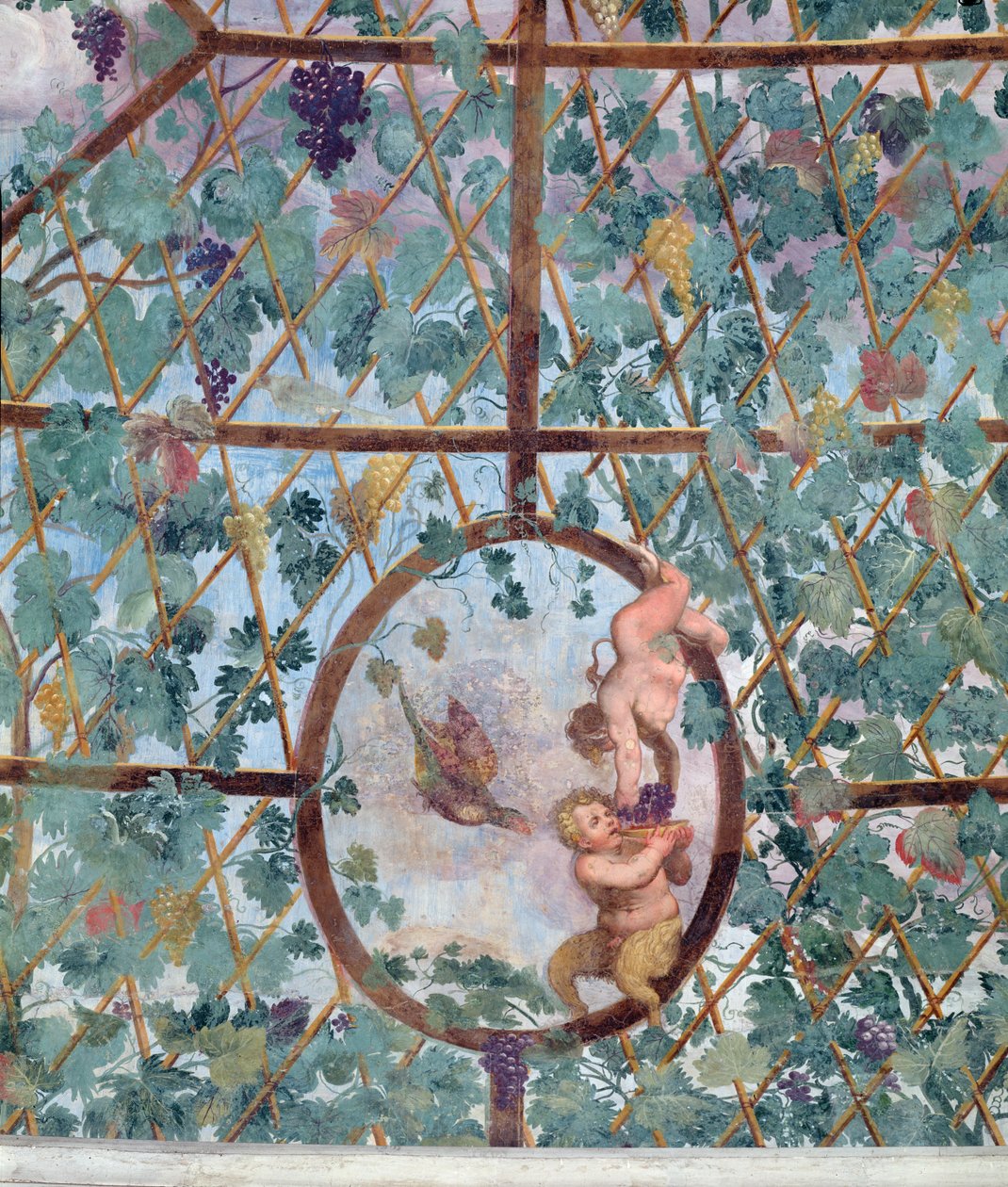 Il portico ionico semicircolare, dettaglio della volta del soffitto raffigurante un putto che nutre un giovane satiro con uva, 1551-55 da Pietro Venale