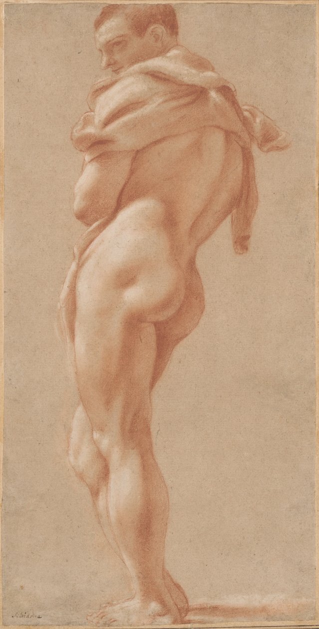 Nudo Maschile in Piedi Visto da Dietro da Pietro Faccini