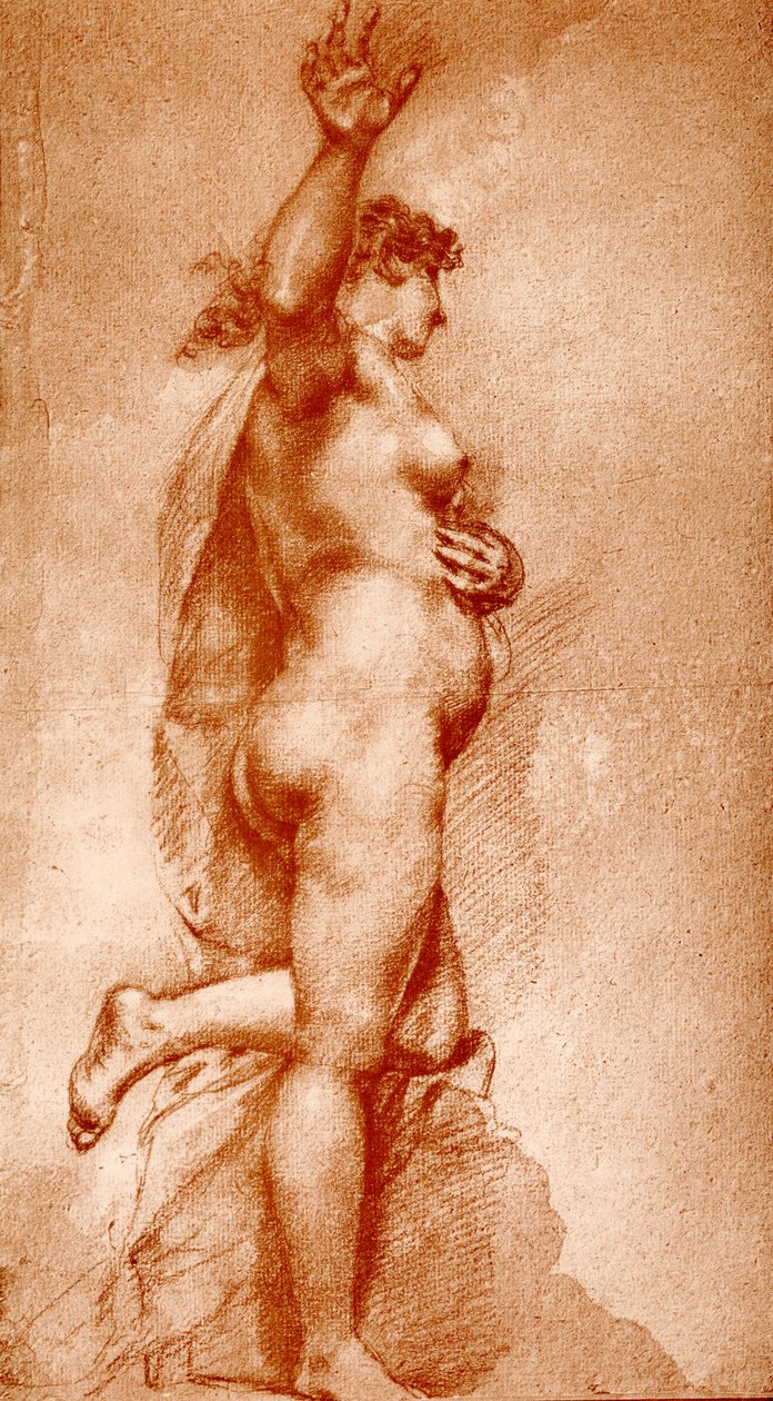 Nudo femminile da Pietro Liberi