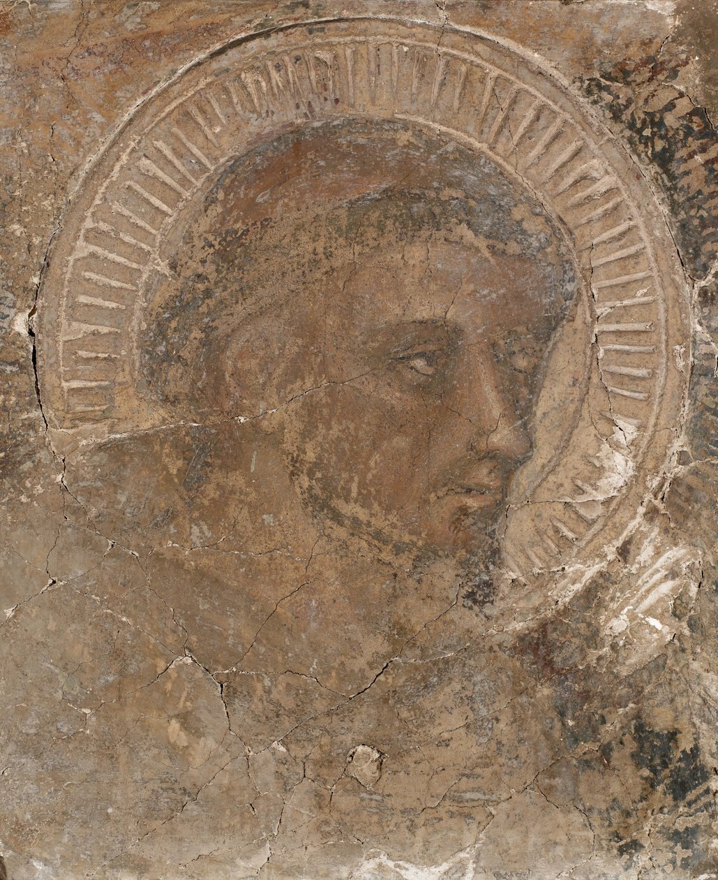 Testa di un francescano, 1319-47 da Pietro Lorenzetti