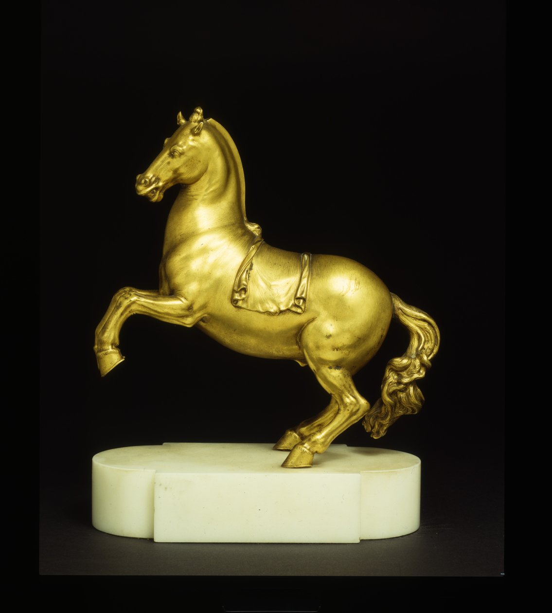 Cavallo impennato da Pietro Tacca
