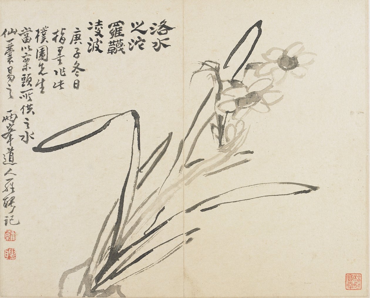 Paesaggi, fiori e uccelli: Narciso, Dinastia Qing da Luo Ping