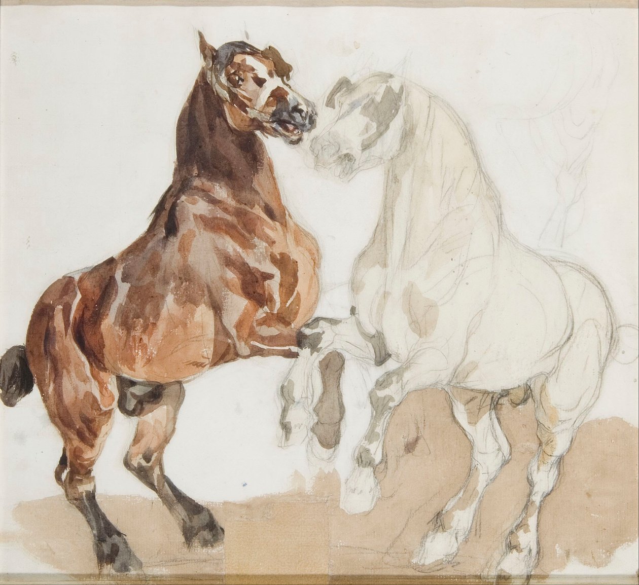 Cavalli da Piotr Michałowski