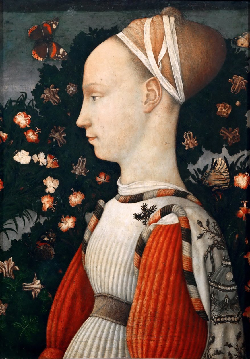 Ritratto di una principessa Ginevra d