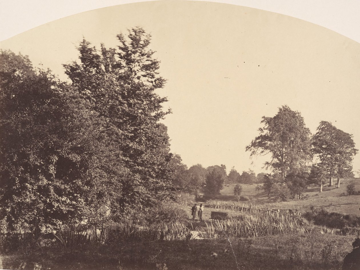 Il ruscello nel bosco da Plunket