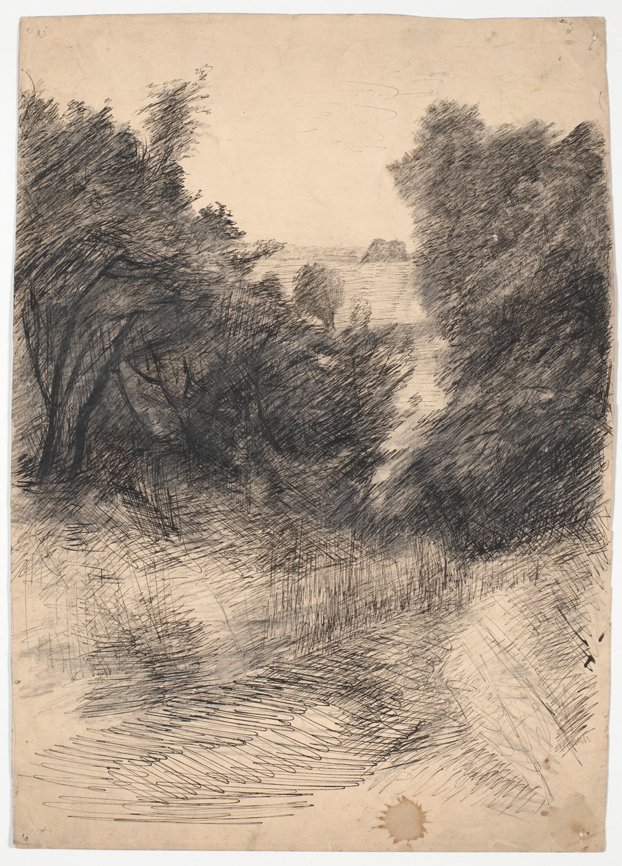 Studio di alberi da Poul S. Christiansen