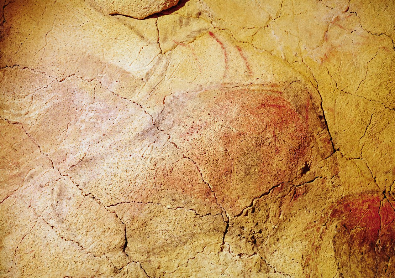 Bisonte, dalle grotte di Altamira, c.15000 a.C. da Prehistoric