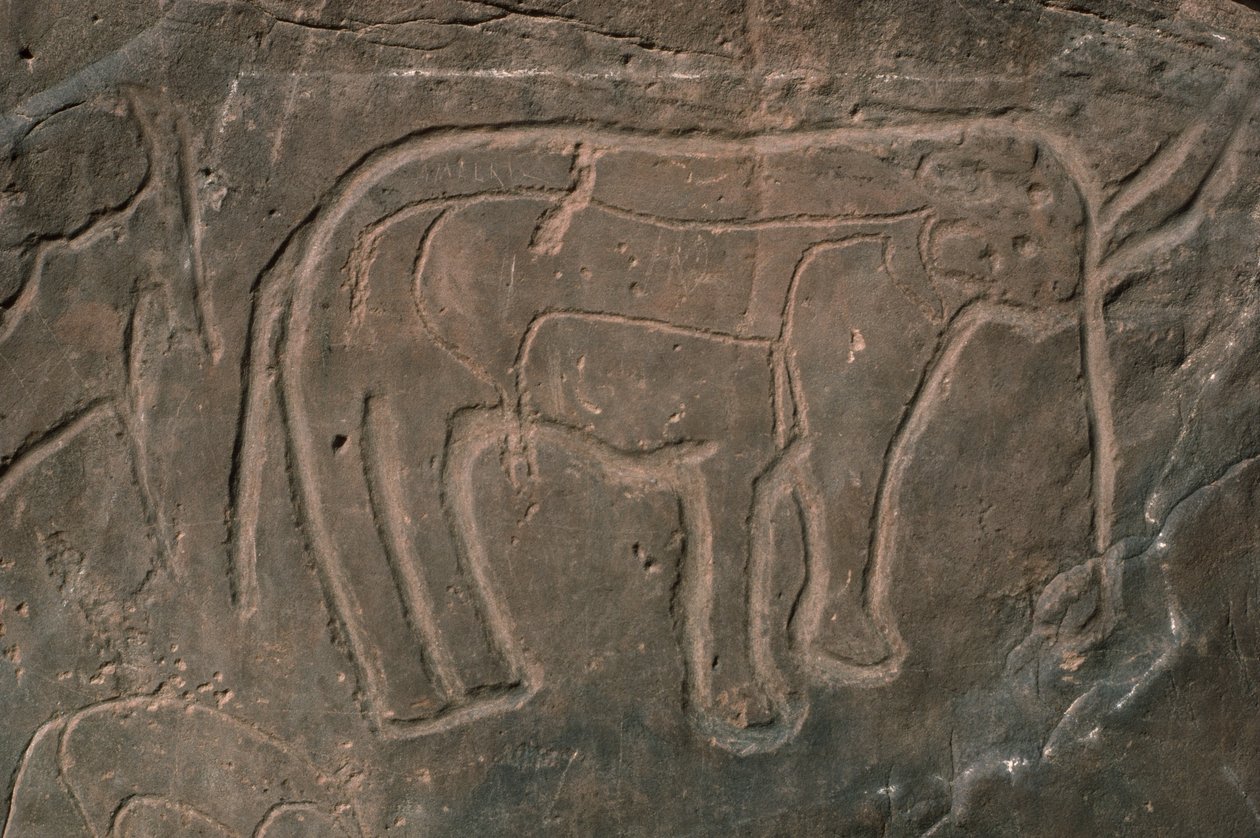 Mammut (incisione su roccia) da Prehistoric