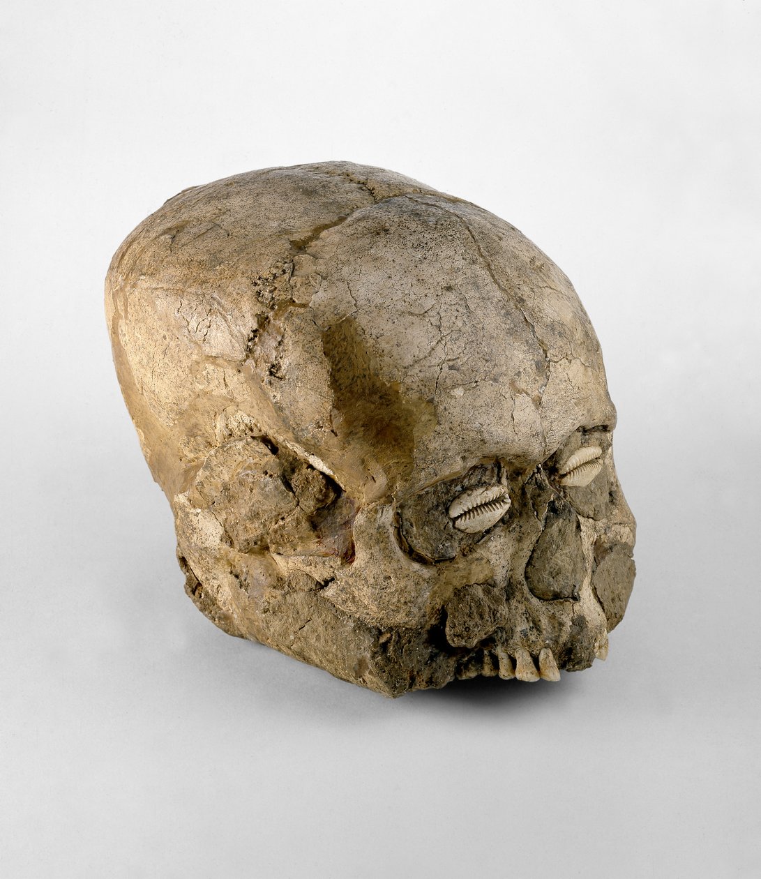 Ritratto di teschio con occhi di conchiglia di cauri, Gerico, c.7° millennio a.C. da Prehistoric
