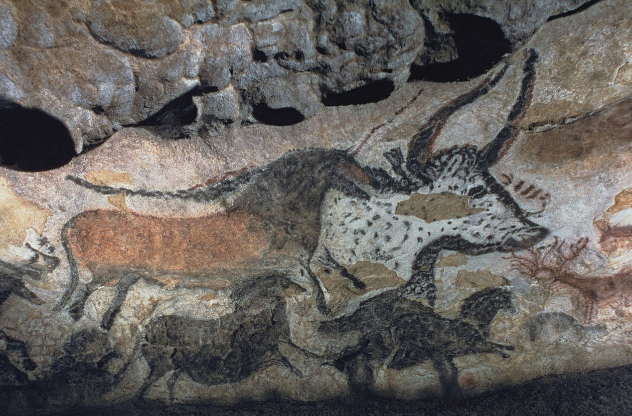 Pittura rupestre di un toro e cavalli, c.17000 a.C. (pittura rupestre) da Prehistoric