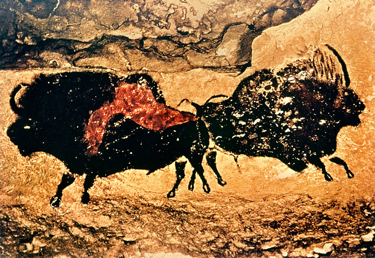 Pittura Rupestre di Bisonte, c.17000 a.C. da Prehistoric