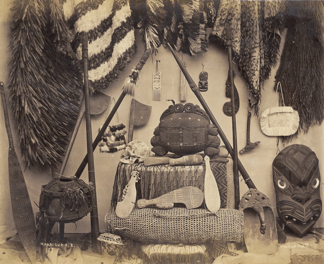 Curiosità Maori, 1870s da Pulman Studio
