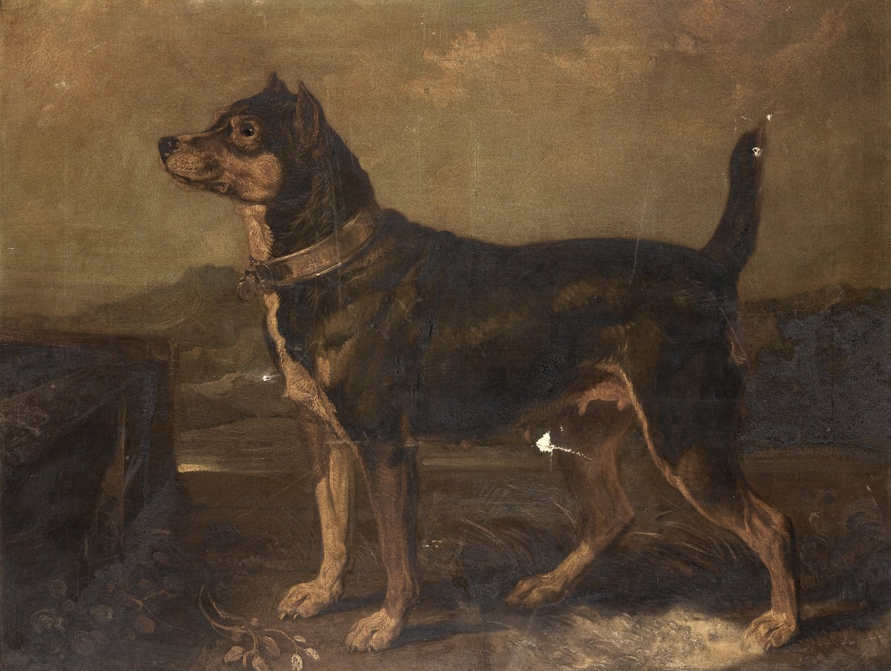 Un Terrier in un Paesaggio da R.A. James Ward