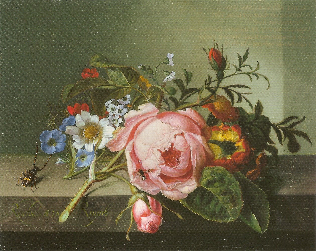 Ramo di rosa con scarabeo e ape da Rachel Ruysch