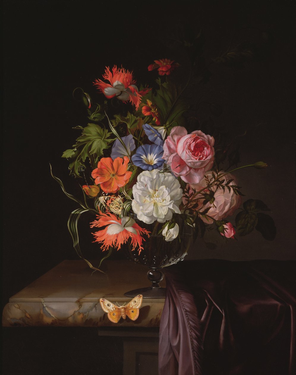 Immagine sconosciuta da Rachel Ruysch