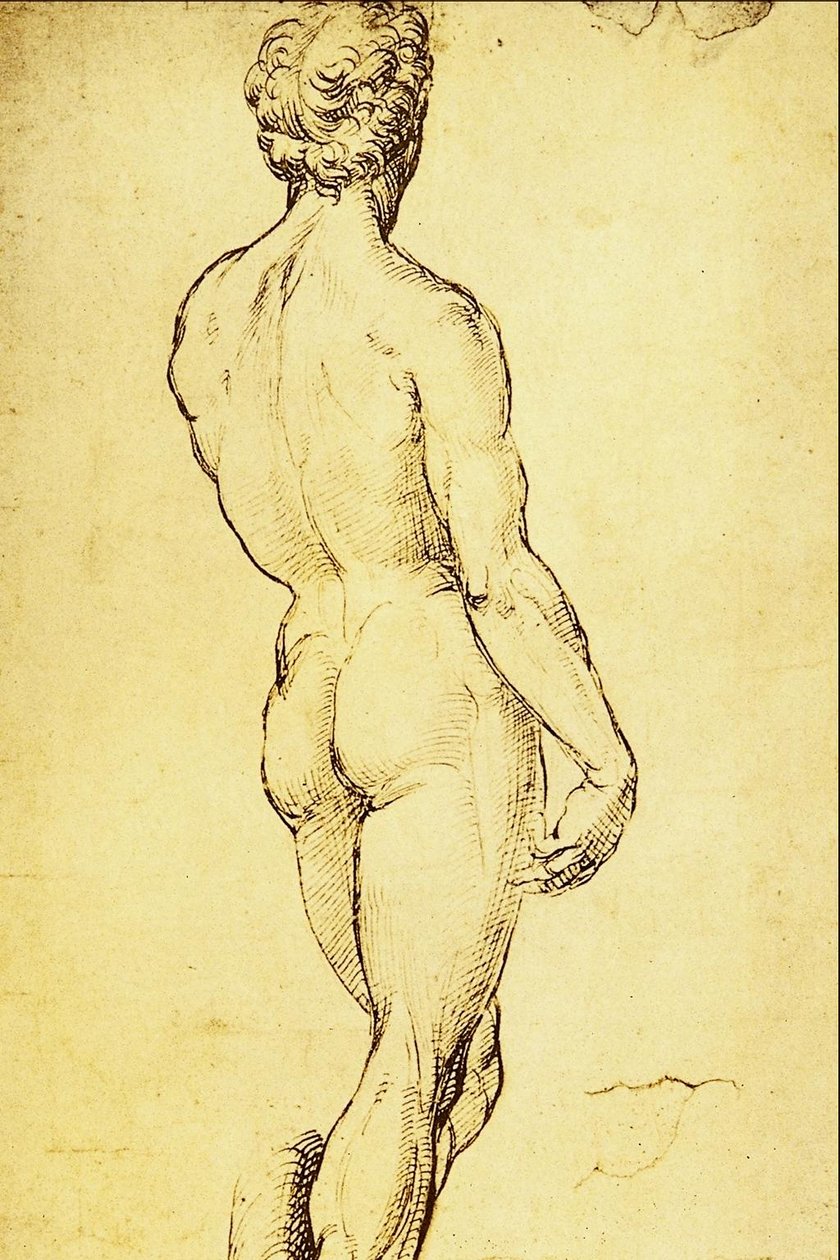 Studio di nudo da Raffaello Sanzio Raphael