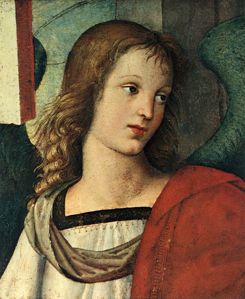 Testa di un angelo, c. 1500 da Raffaello Sanzio Raphael