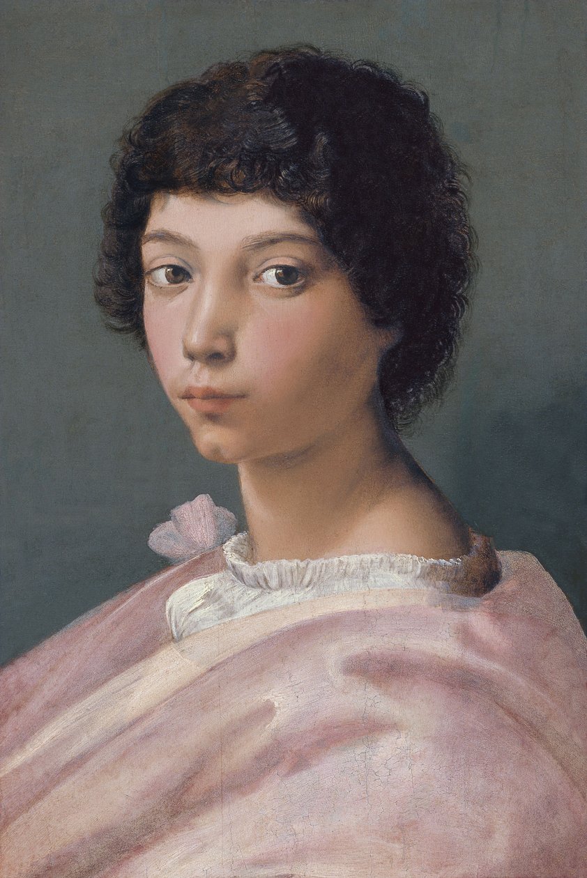 Ritratto di un giovane uomo da Raffaello Sanzio Raphael